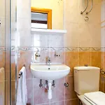 Family With Huge Terrace And Hot Tub - Franka Apartament *
